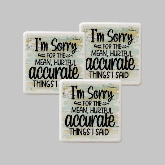 I'm Sorry for the Mean, Accurate Hurtful Things I Said