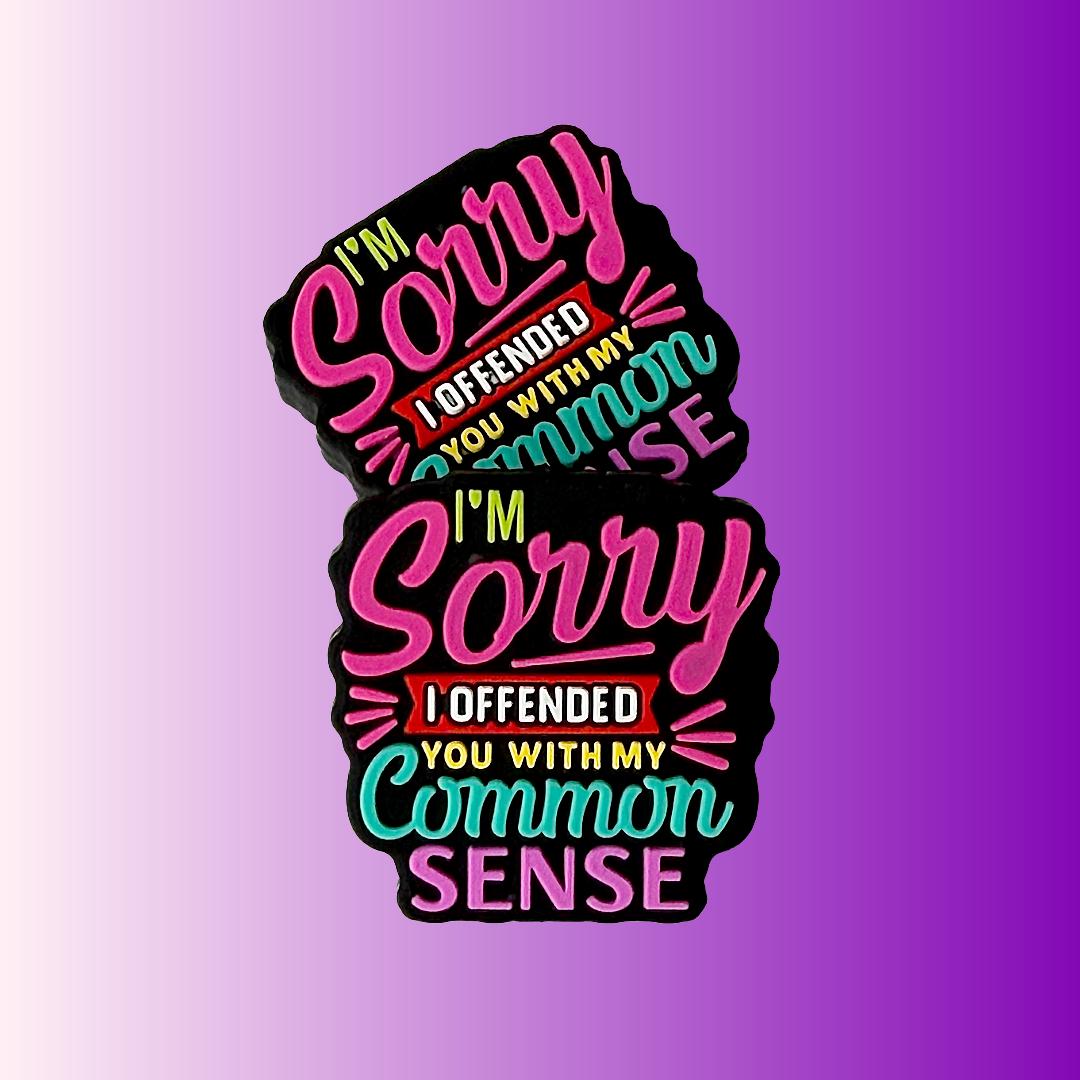 Sorry I Offended You with My Common Sense Focal Bead 172