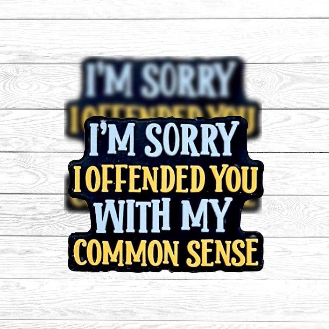 Sorry I Offended You with My Common Sense Focal Bead 117