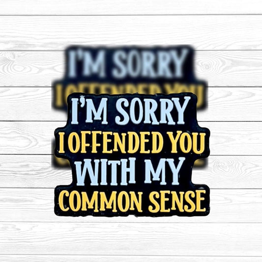 Sorry I Offended You with My Common Sense Focal Bead 117