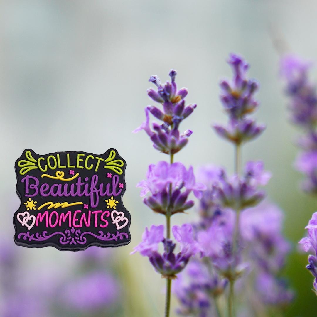 Collect Beautiful Moments Focal Bead 228
